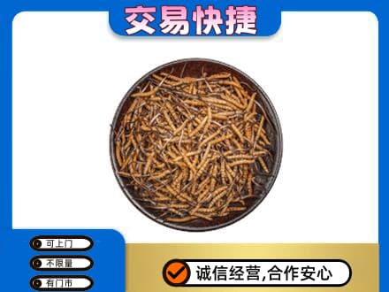 绍兴高价回收散虫草